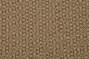 Oberweiher Bandana Asanoha Sternmuster Curry
